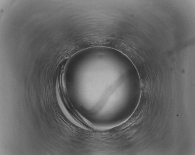 X0000074961202200609081432