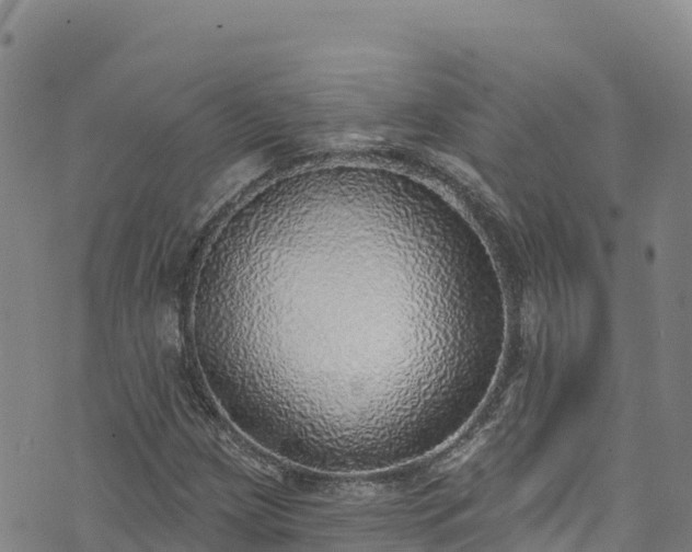 X0000074961209200609081432