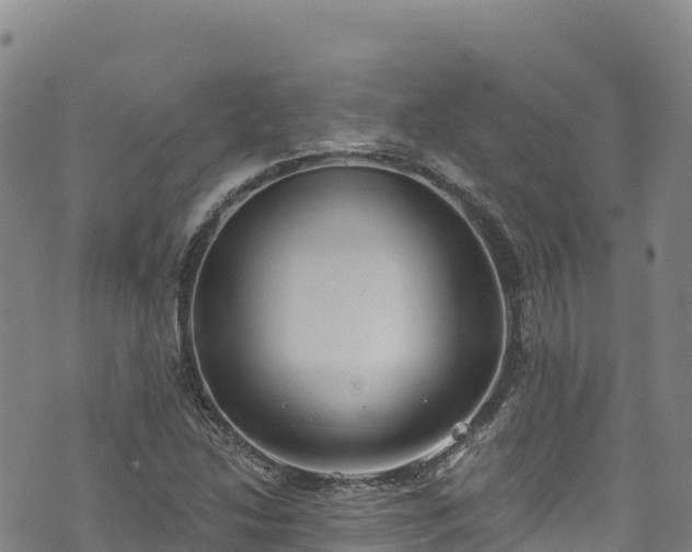 X0000074961214200609081433
