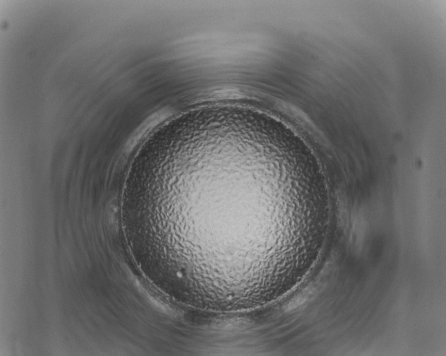 X0000074961225200609081433