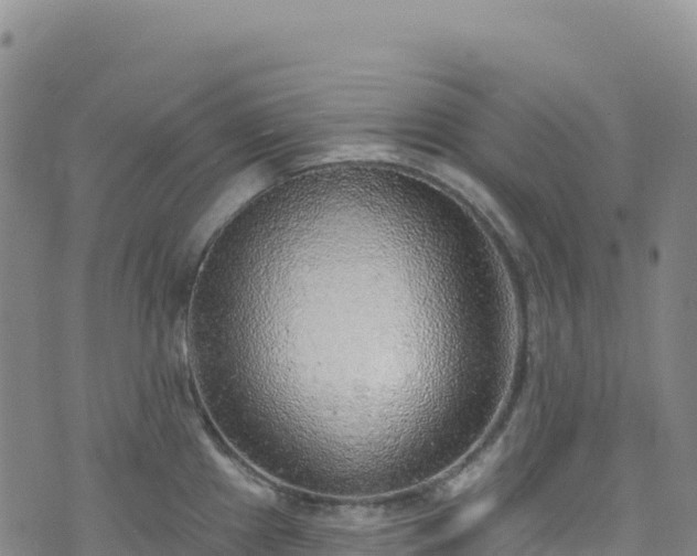 X0000074961241200609081433