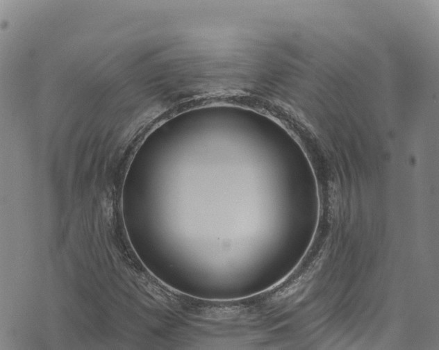 X0000074961257200609081432