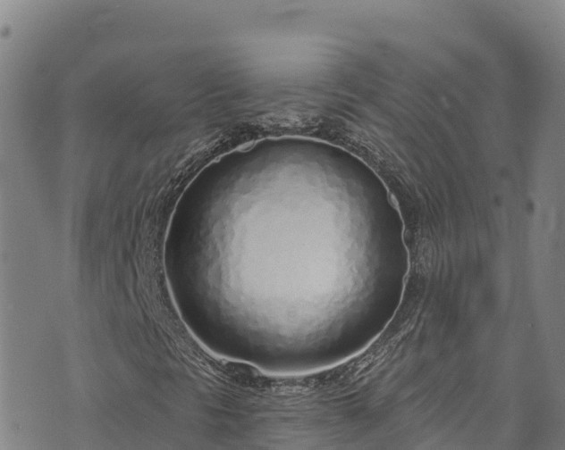 X0000074961297200609081431