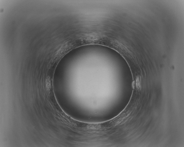 X0000074961299200609081431