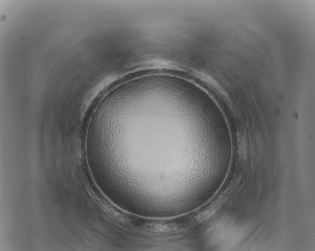 X0000074961318200609081431