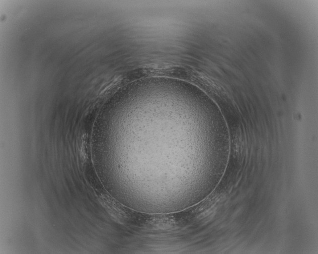 X0000074961346200609081431
