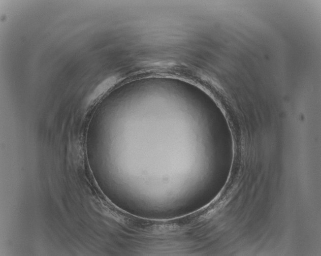 X0000074961354200609081431