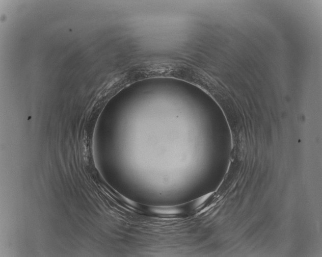 X0000074961394200609081429