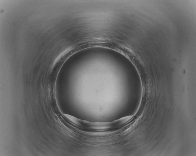 X0000074961402200609081429