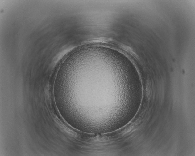 X0000074961404200609081429