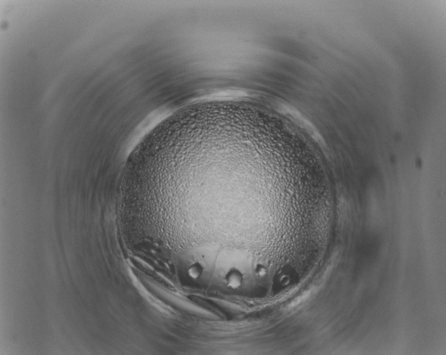 X0000074961425200609081430