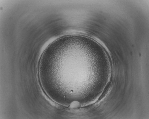 X0000074961437200609081430