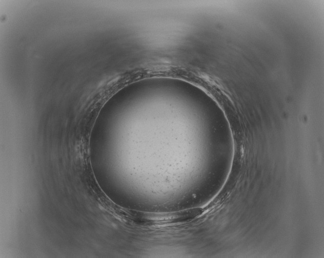 X0000074961445200609081429