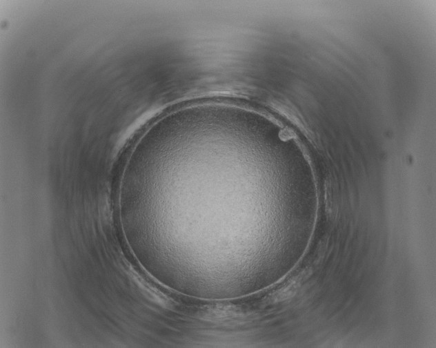 X0000074961452200609081429