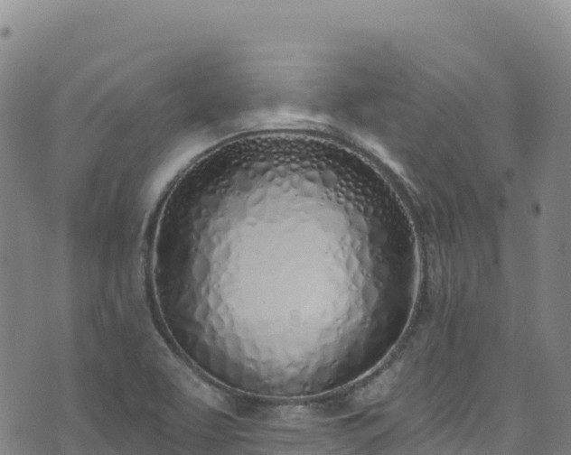 X0000074961463200609081429