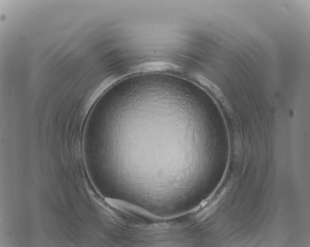 X0000074961473200609081429