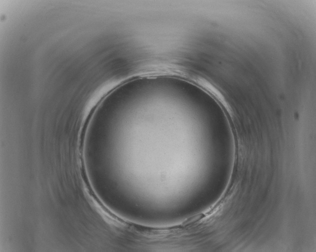 X0000074961485200609081429