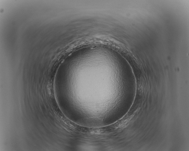 X0000074961490200609081428