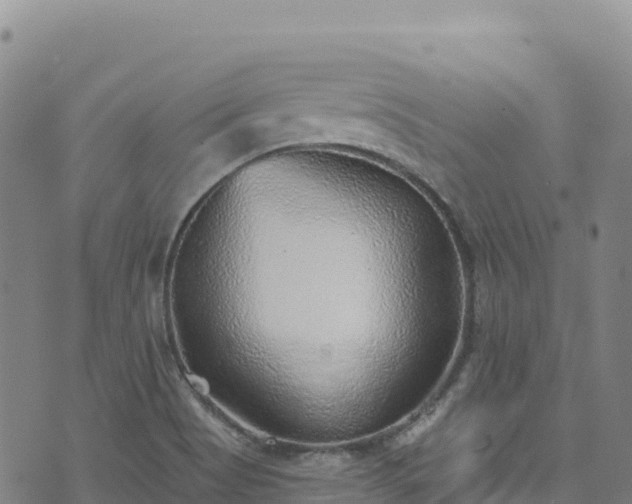 X0000074961513200609081428