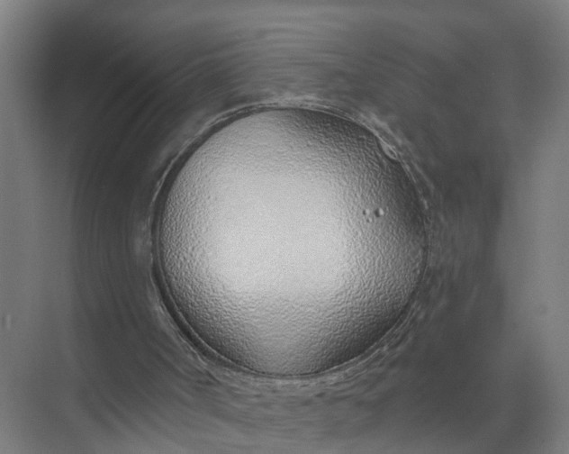 X0000074960002200609152108