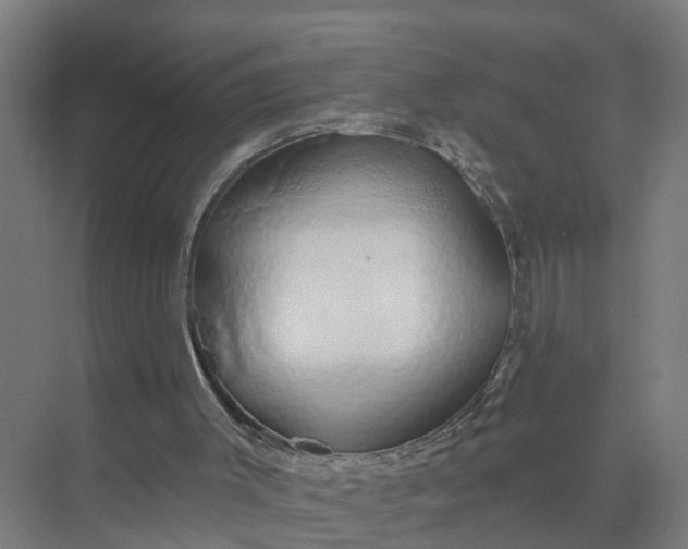 X0000074960003200609152108