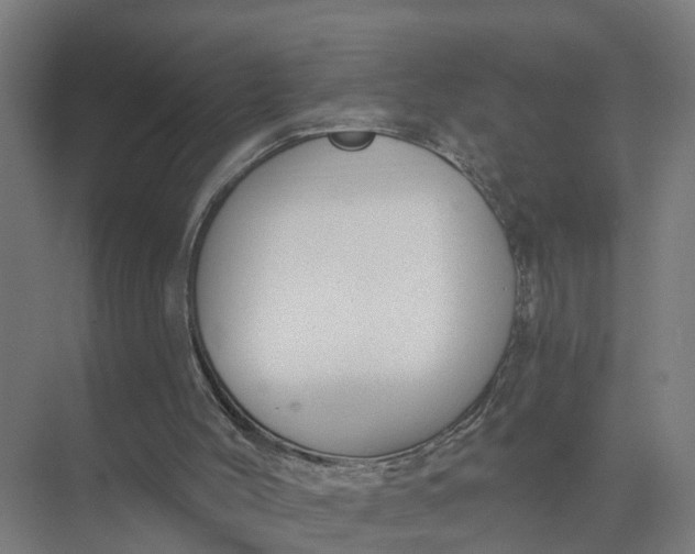 X0000074960004200609152108