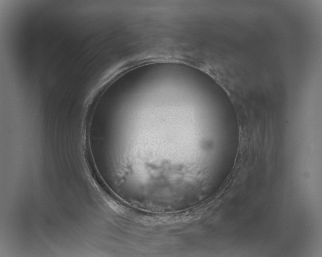 X0000074960005200609152108