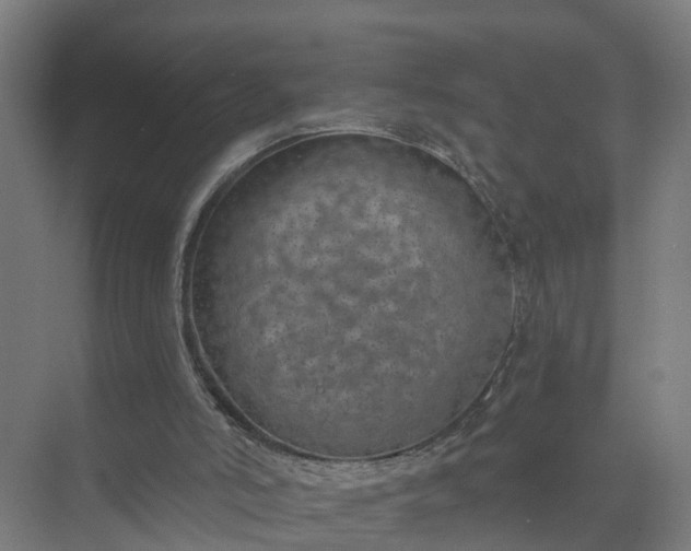 X0000074960006200609152108