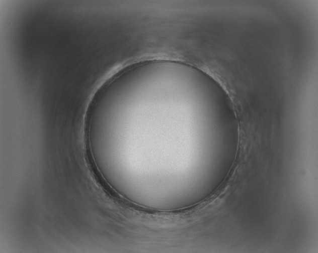 X0000074960008200609152108