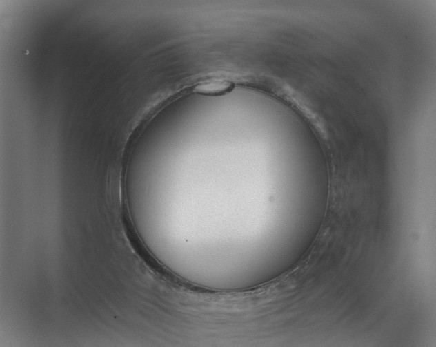 X0000074960011200609152108