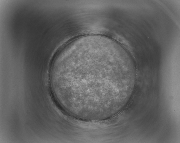 X0000074960012200609152108