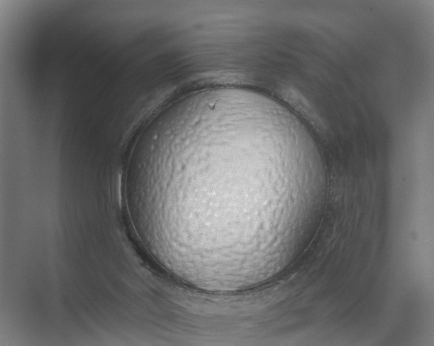 X0000074960014200609152108