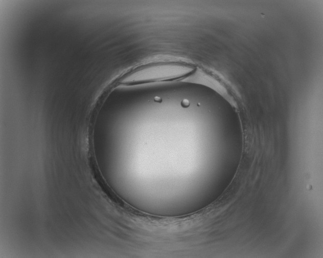 X0000074960015200609152108