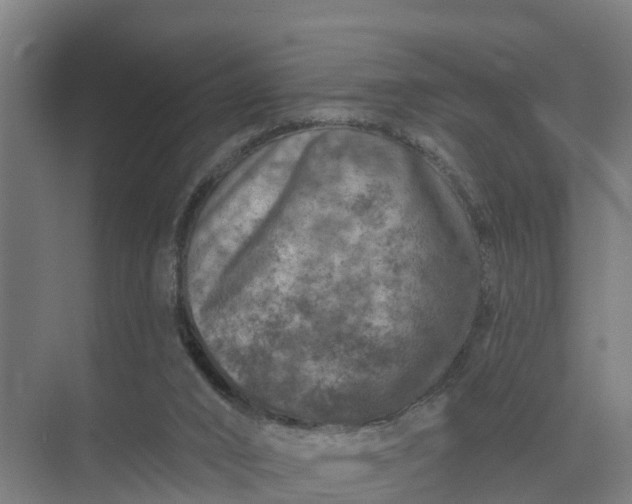 X0000074960016200609152108