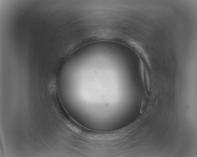 X0000074960017200609152108