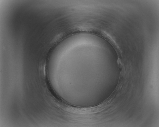 X0000074960019200609152108