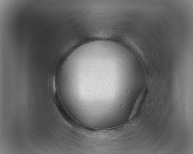 X0000074960020200609152108