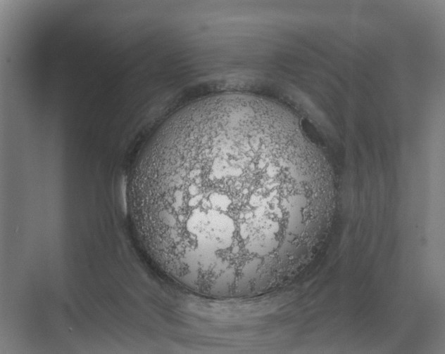 X0000074960022200609152108