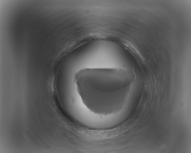 X0000074960023200609152108