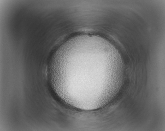 X0000074960024200609152108