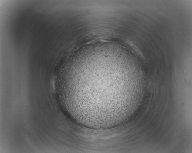 X0000074960026200609152108