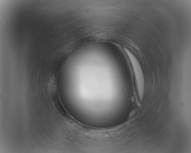 X0000074960029200609152108