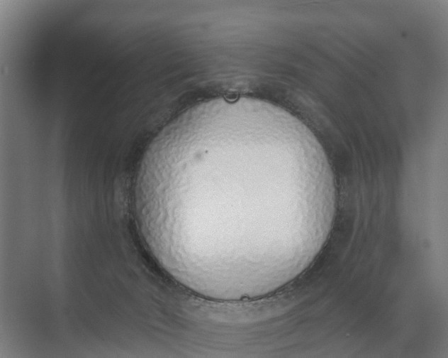 X0000074960030200609152108