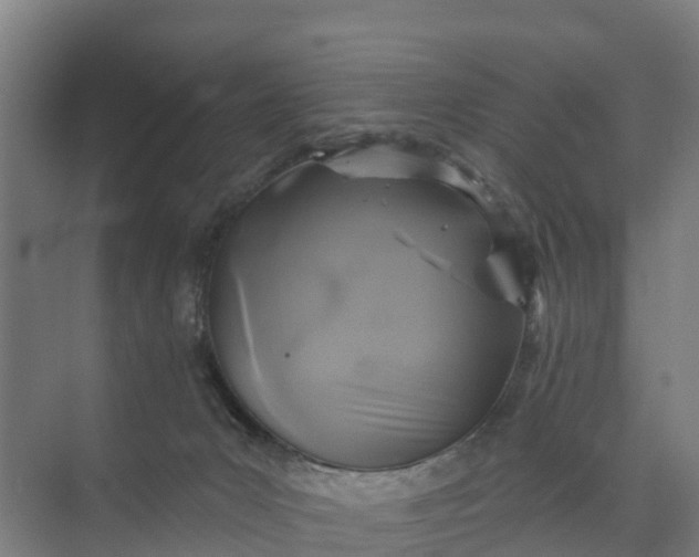 X0000074960031200609152108