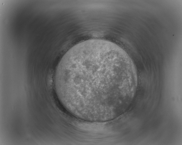 X0000074960032200609152108