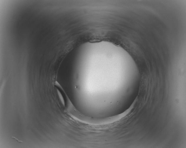 X0000074960033200609152108