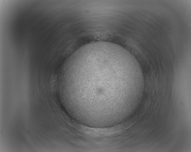 X0000074960034200609152108