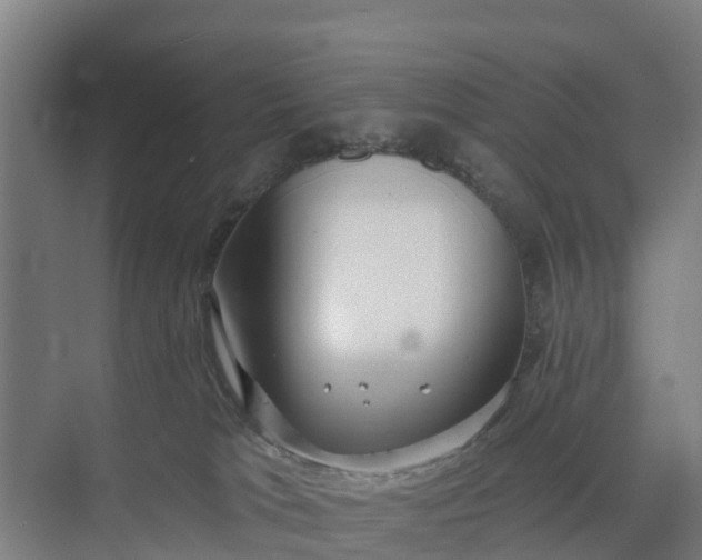 X0000074960037200609152108