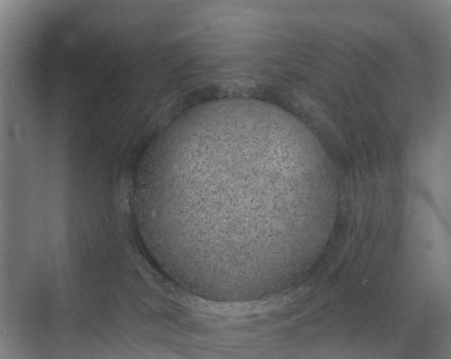 X0000074960038200609152108