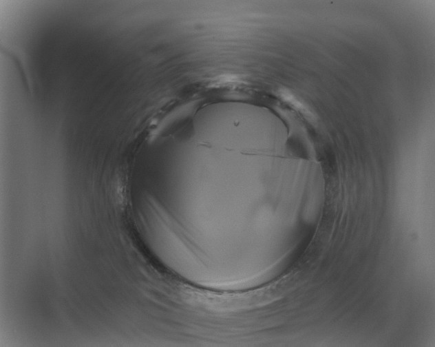 X0000074960039200609152108